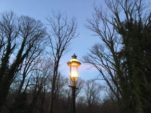 streetlamp, winter dusk